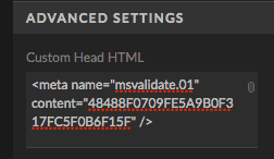 Photo of ShowIt 5 HTML Advanced Settings box for SEO code.