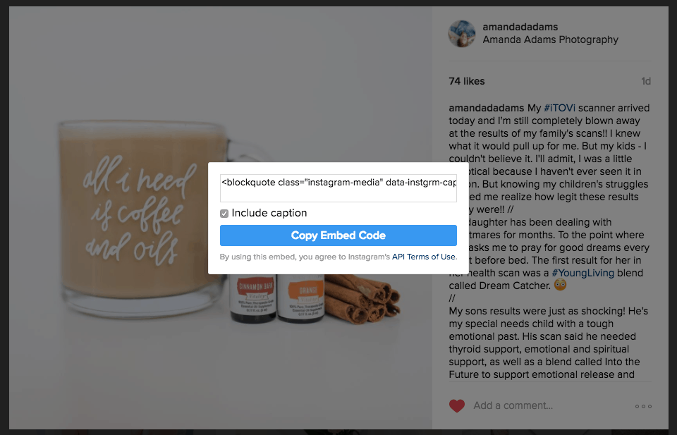embed IG post into blog